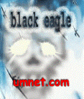 game pic for Black Eagle